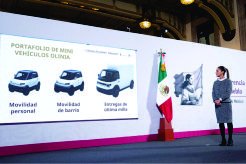Descripción