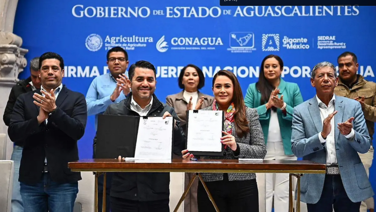 Descripción