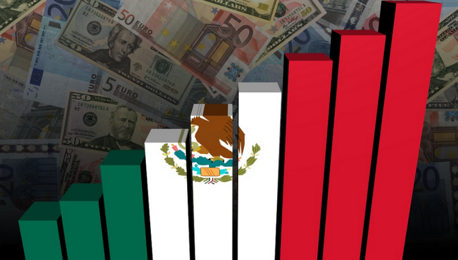 Descripción